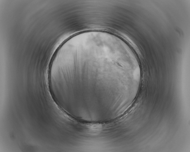 X0000113051291200909241447