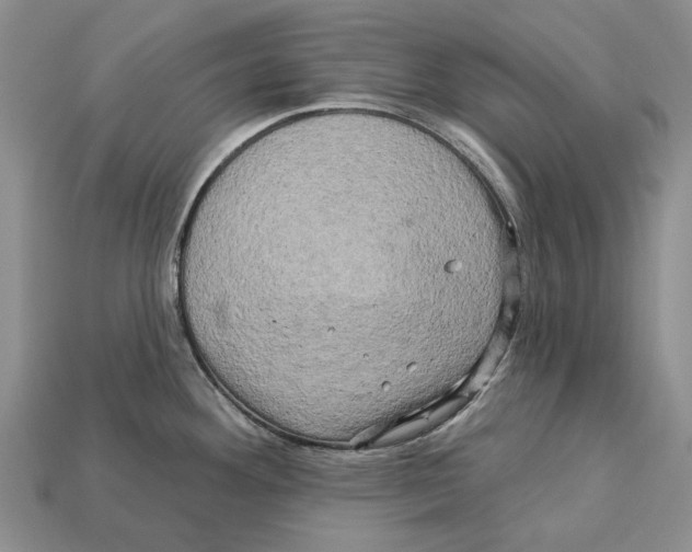 X0000113051292200909241447