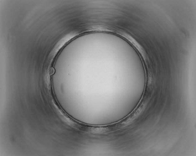 X0000113051293200909241447