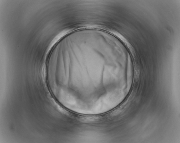 X0000113051294200909241447