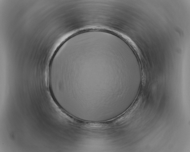 X0000113051295200909241447