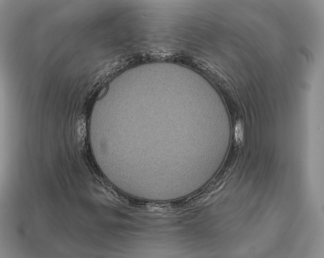 X0000113051299200909241447