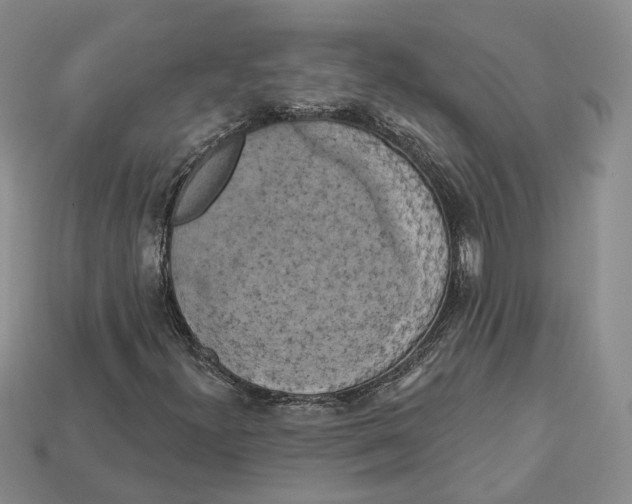X0000113051300200909241447