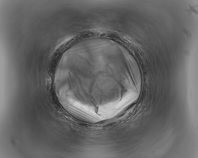 X0000113051302200909241447