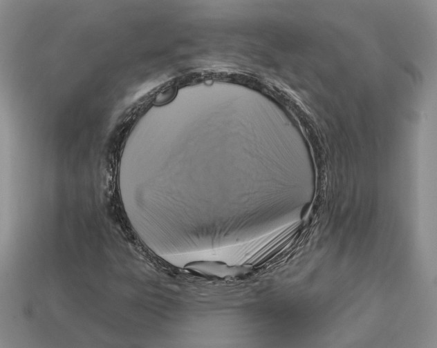 X0000113051303200909241447