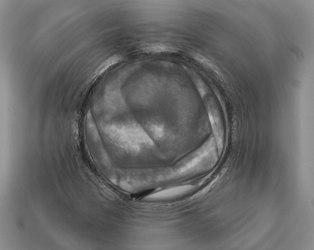 X0000113051305200909241447