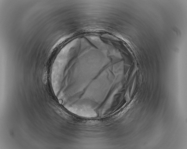 X0000113051306200909241447