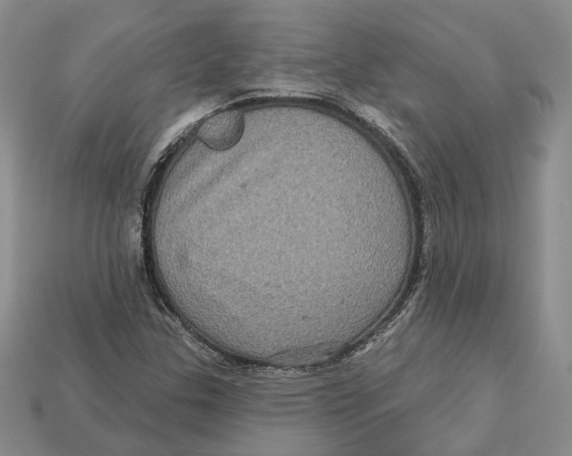 X0000113051307200909241447