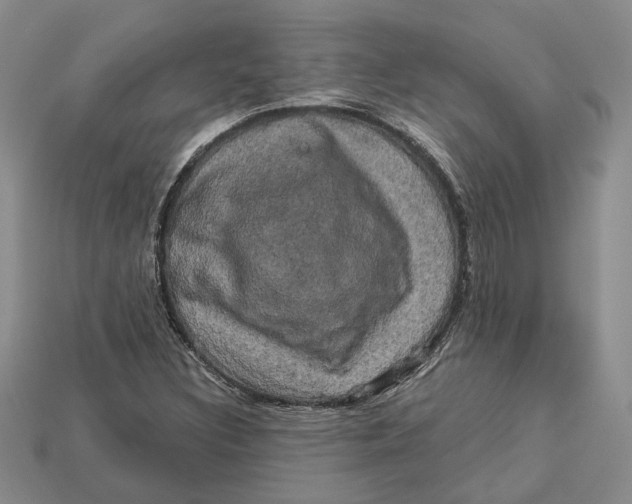 X0000113051308200909241447