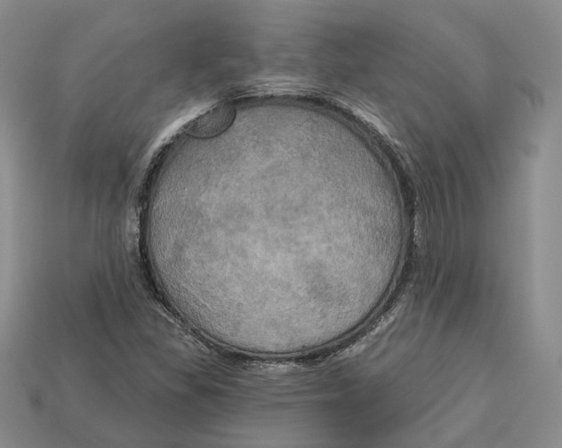 X0000113051309200909241447