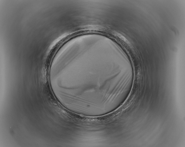 X0000113051310200909241447
