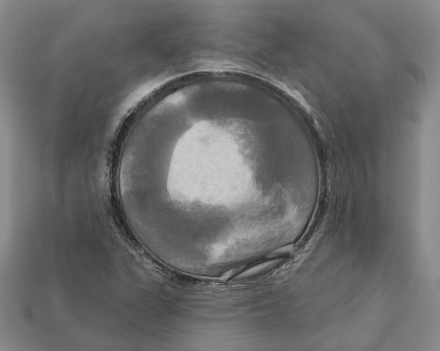 X0000113051311200909241447
