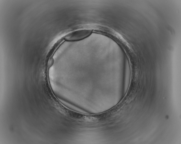 X0000113051312200909241447