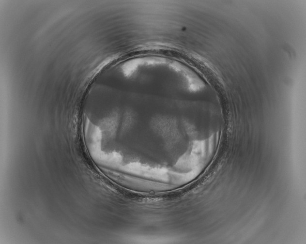 X0000113051313200909241447