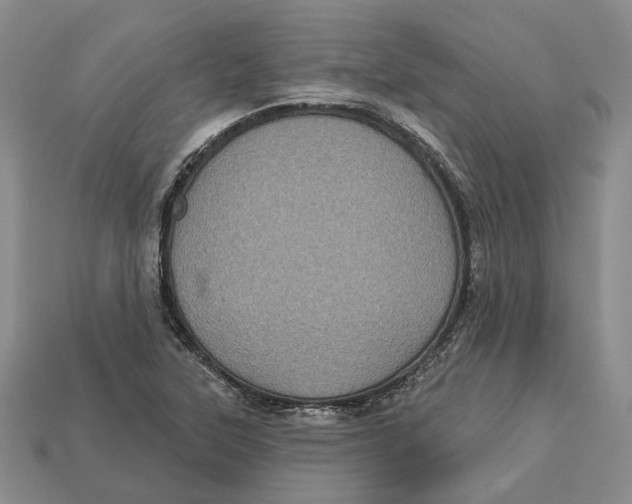 X0000113051315200909241447