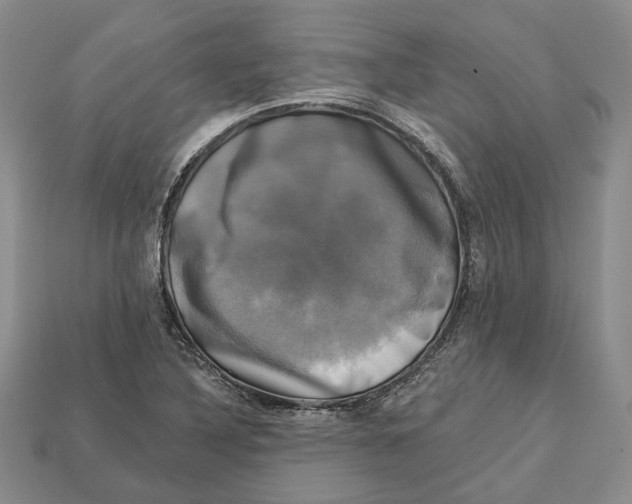 X0000113051316200909241447