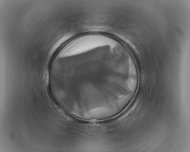 X0000113051317200909241447