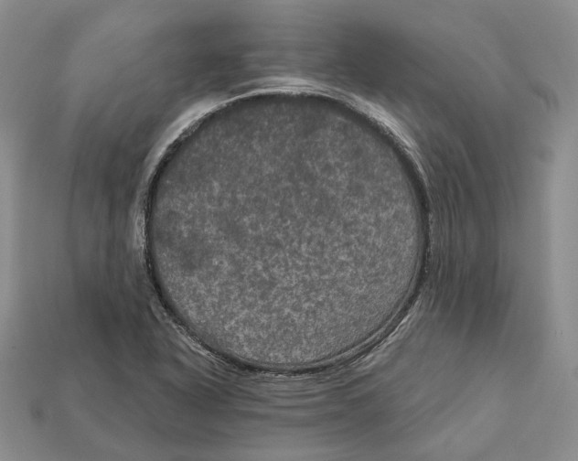 X0000113051318200909241447