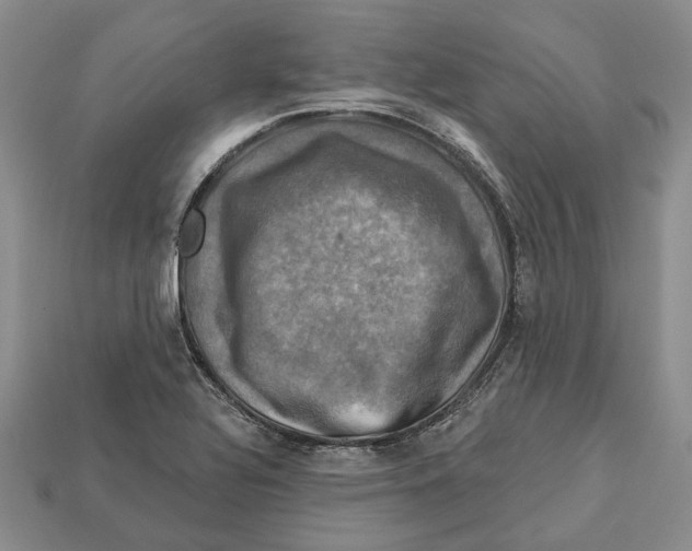 X0000113051320200909241447