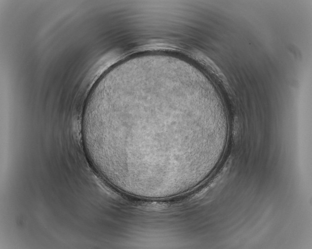 X0000113051321200909241447