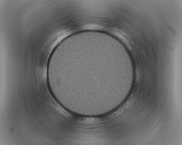 X0000113051322200909241447