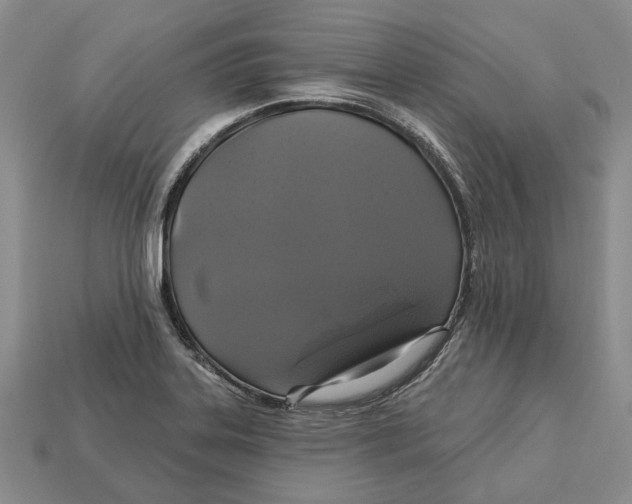 X0000113051323200909241447