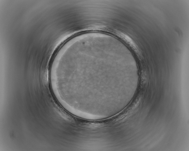 X0000113051324200909241447
