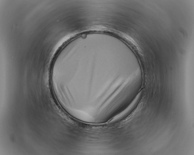 X0000113051326200909241447