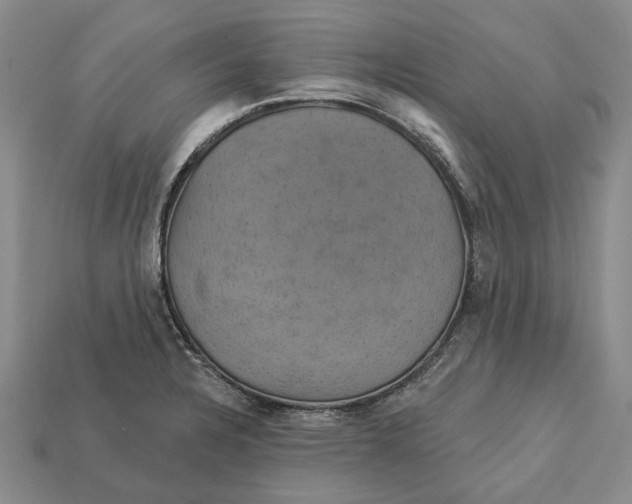 X0000113051328200909241447