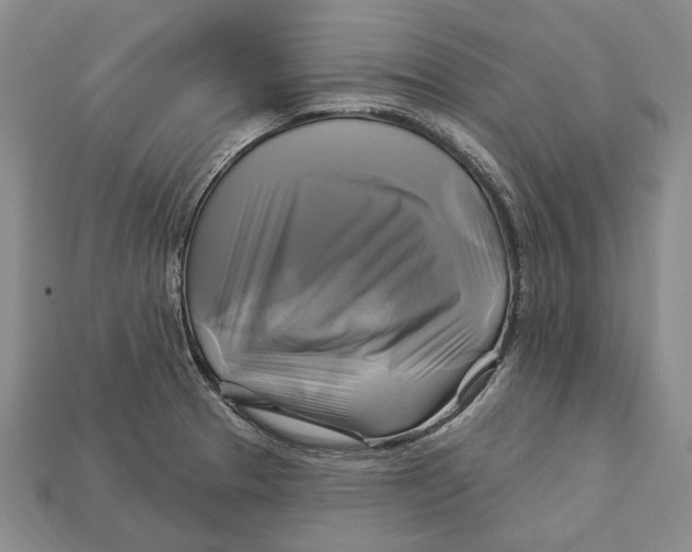 X0000113051329200909241447