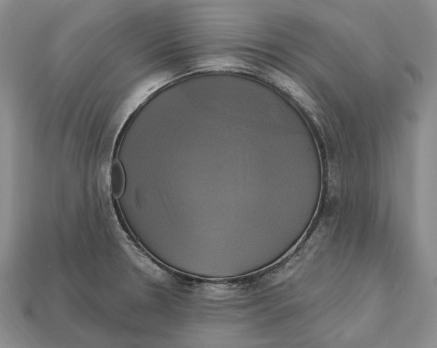 X0000113051330200909241447