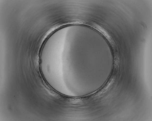X0000113051332200909241447