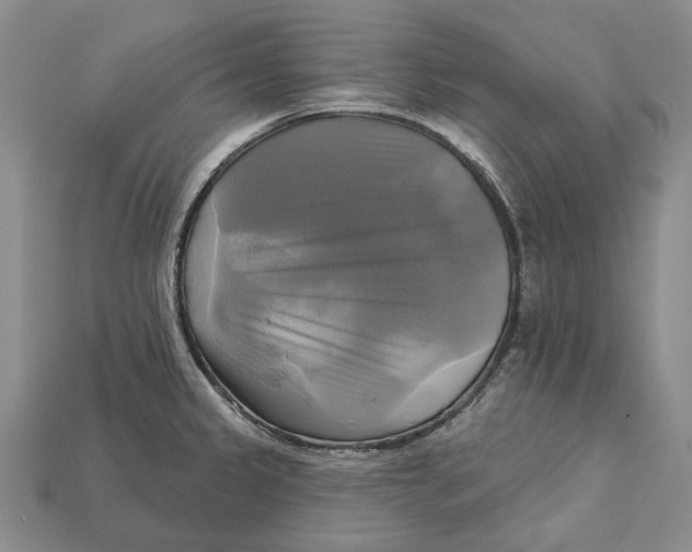 X0000113051333200909241447