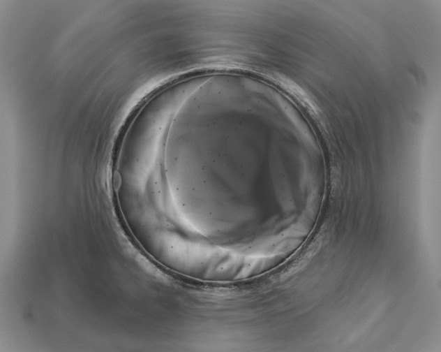 X0000113051334200909241447