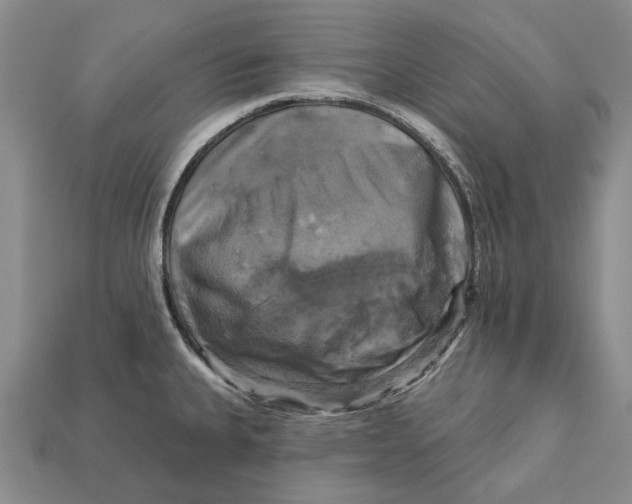 X0000113051335200909241447