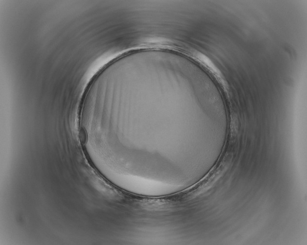 X0000113051336200909241447