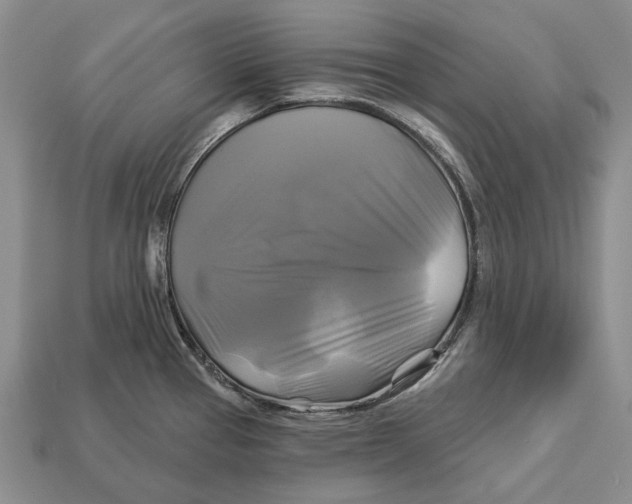 X0000113051337200909241447