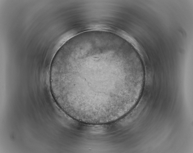 X0000113051338200909241447