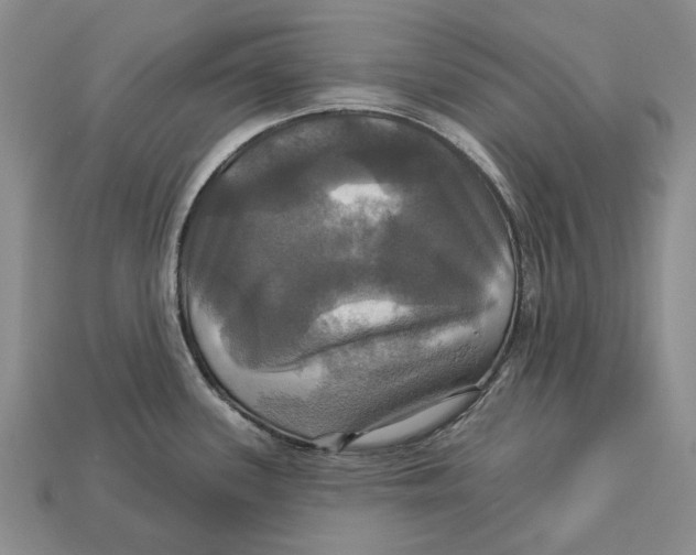 X0000113051339200909241447