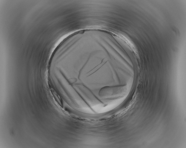 X0000113051340200909241447