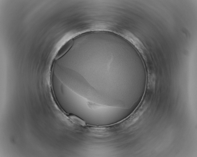 X0000113051342200909241447