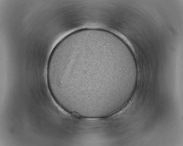 X0000113051343200909241447