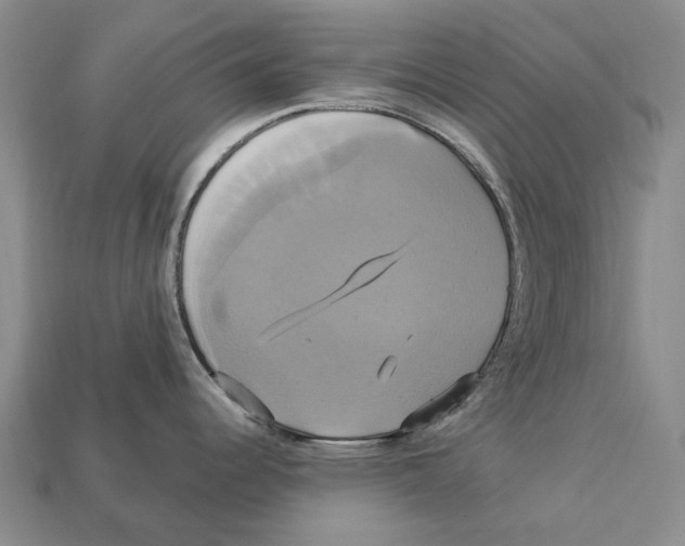 X0000113051344200909241447