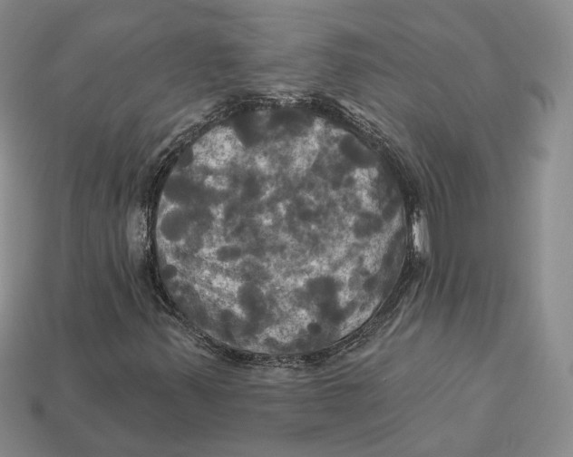 X0000113051347200909241447