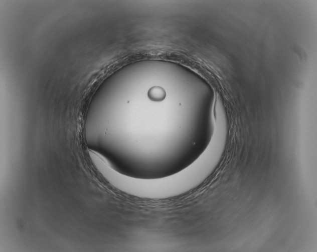 X0000113051349200909241447