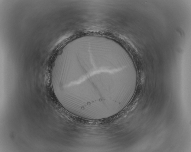 X0000113051350200909241447