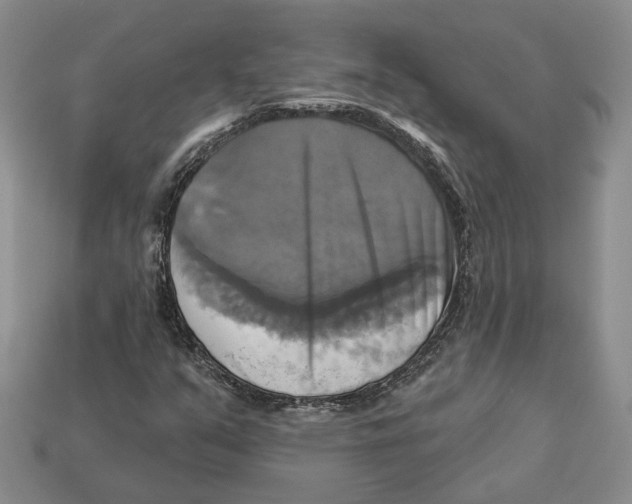X0000113051351200909241447