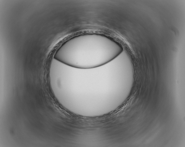 X0000113051352200909241446