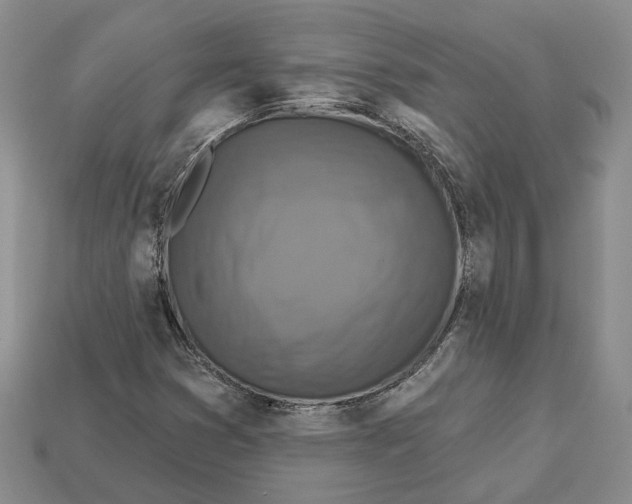 X0000113051353200909241446