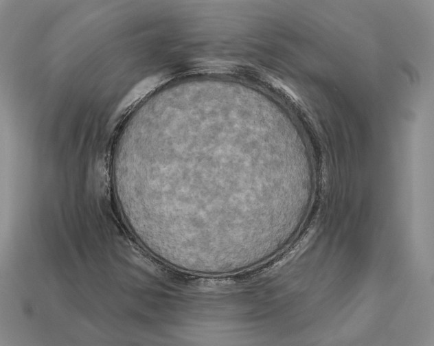 X0000113051354200909241446